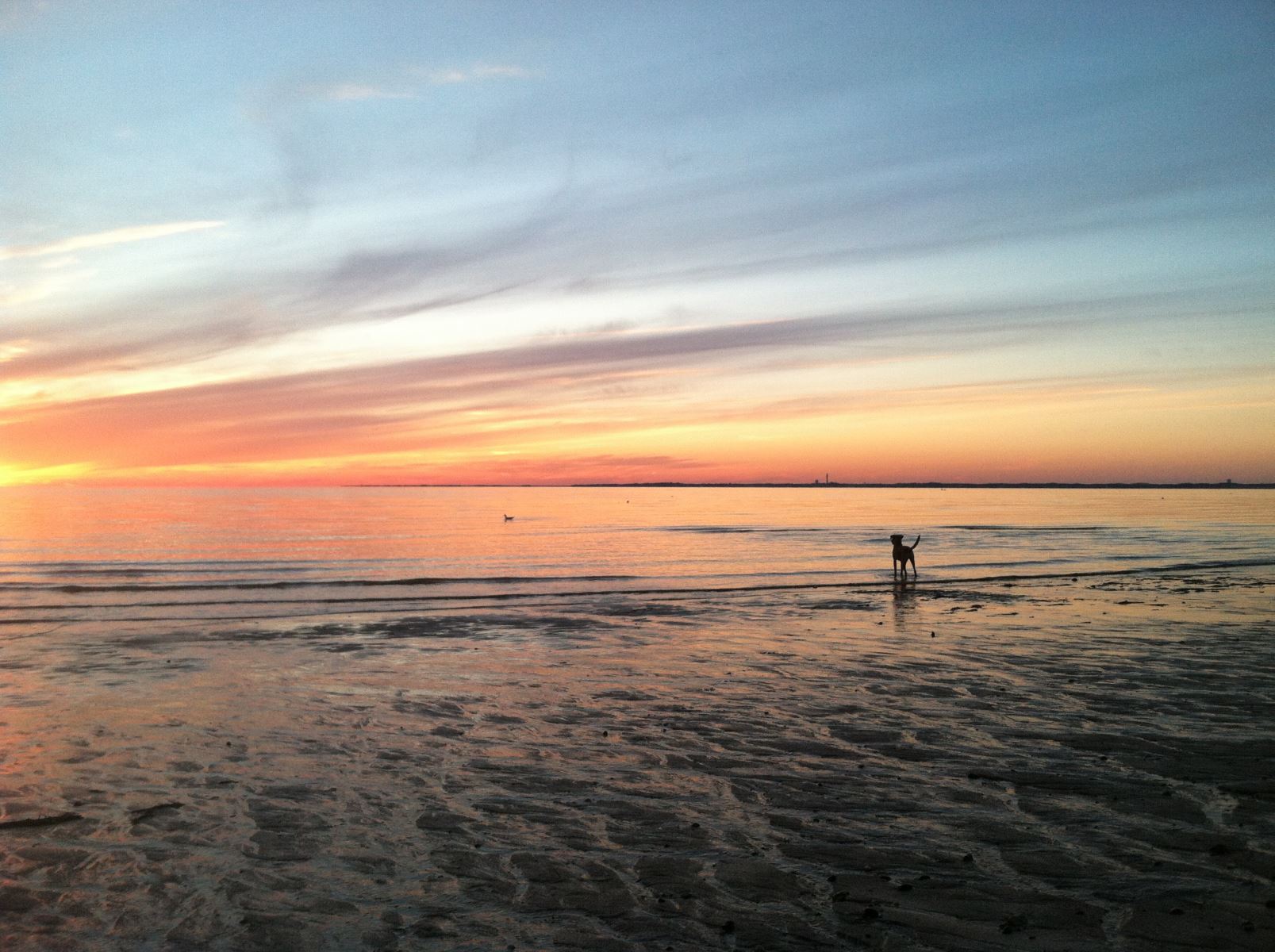 Corn Hill Beach in Truro is a great place for Nauset Rental guests to view Provincetown during a clear sunset