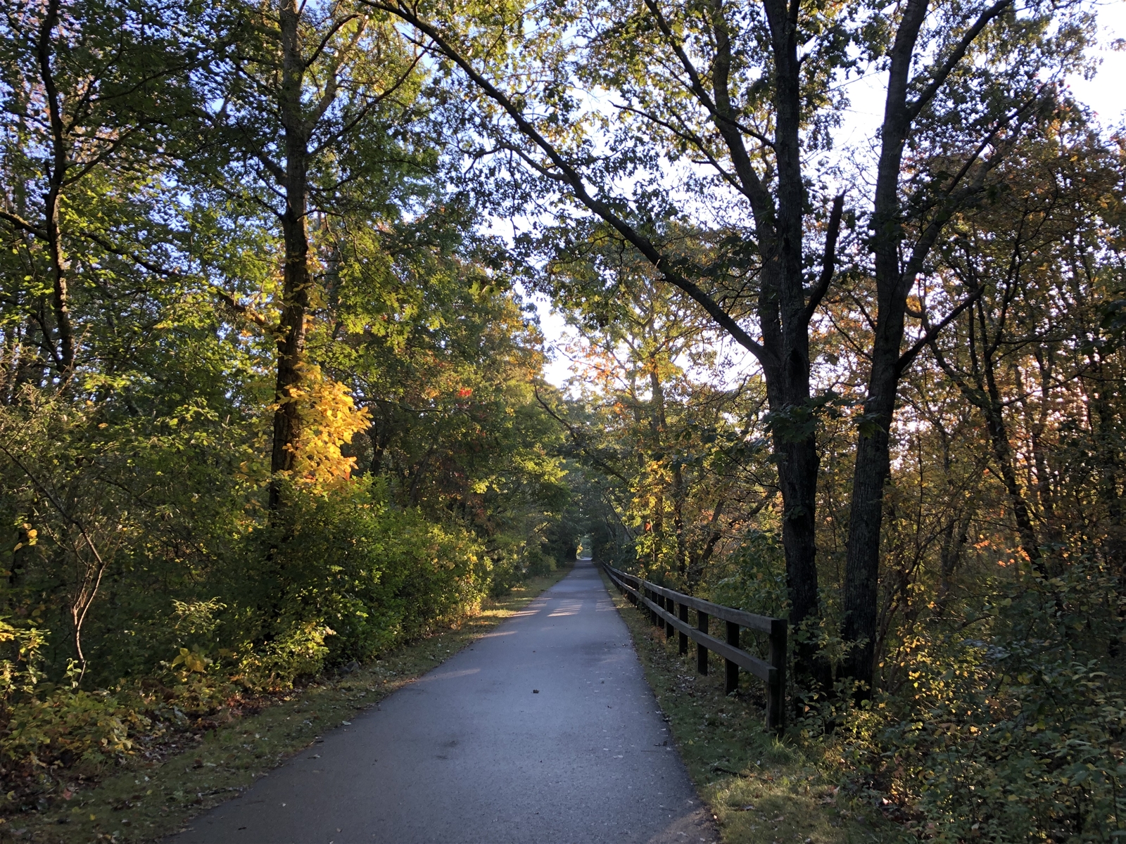 The Cape Cod Rail Trail is a popular activity among many tourists to Brewster, MA