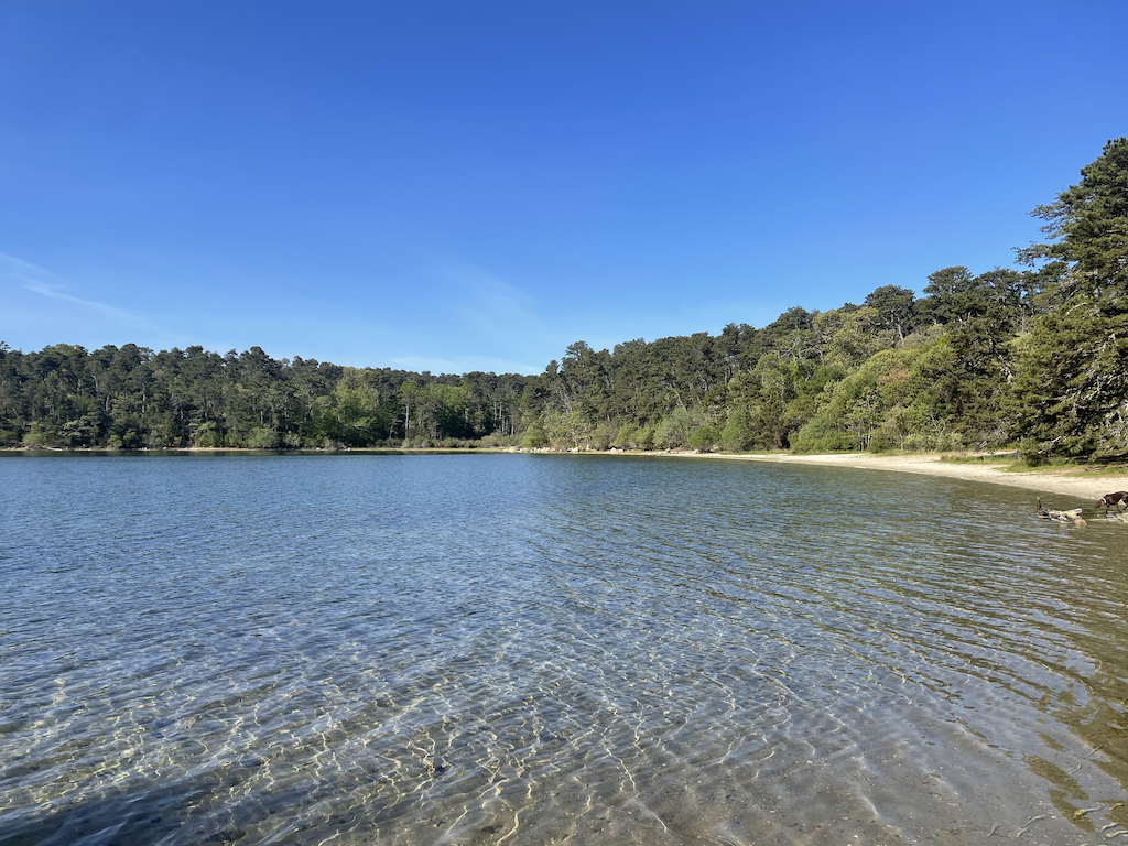 Cape Cod is known for its hundreds of beautiful kettle ponds for swimming, fishing, kayaking and paddle boarding