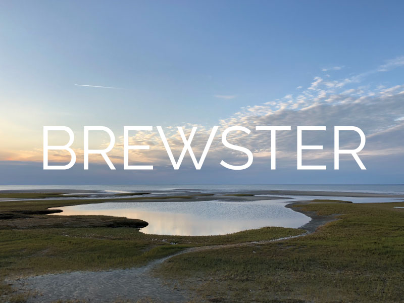 A picture of the iconic Brewster Flats of Brewster, MA