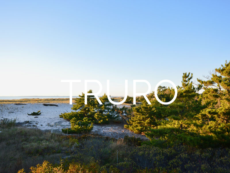 Don't miss this quaint and sleepy little Cape Cod town  Truro seasides are not to be missed.