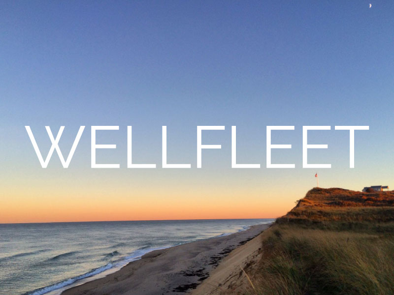 Sunset over the Wellfleet sand dunes is a the perfect ending to your Cape Cod adventure.