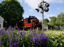 The Cape Cod Central Railroad offers several trip options including scenic tours and dinner trains, perfect for rainy days.