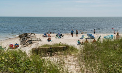 Cape Cod
