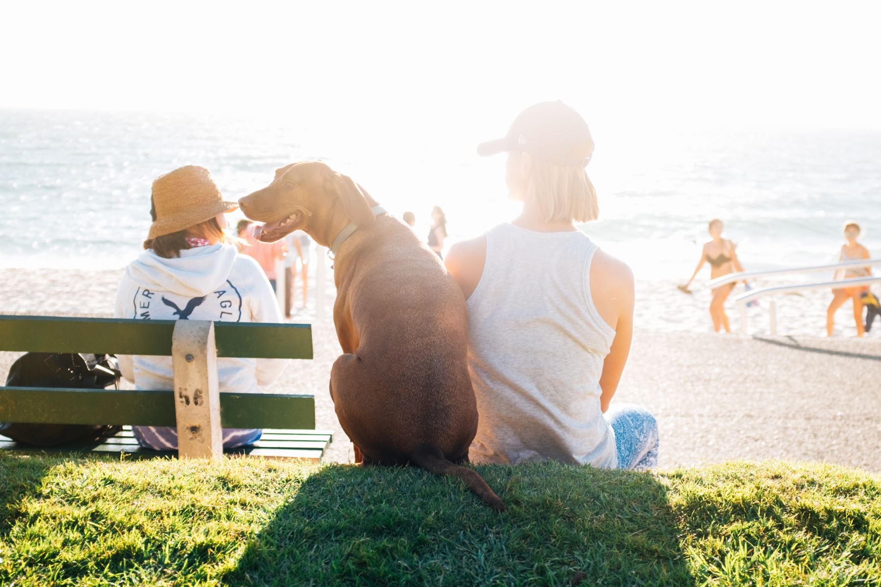 A Nauset Rental vacation guest sits at at Dog Friendly beach on Cape Cod