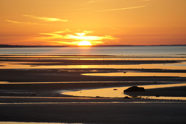 Cape Cod beachfront rentals near Skaket Beach in Orleans are great destinations for families